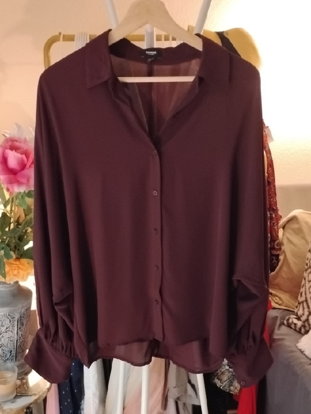 Express Sheer Brown Billowing Sleeves Blouse